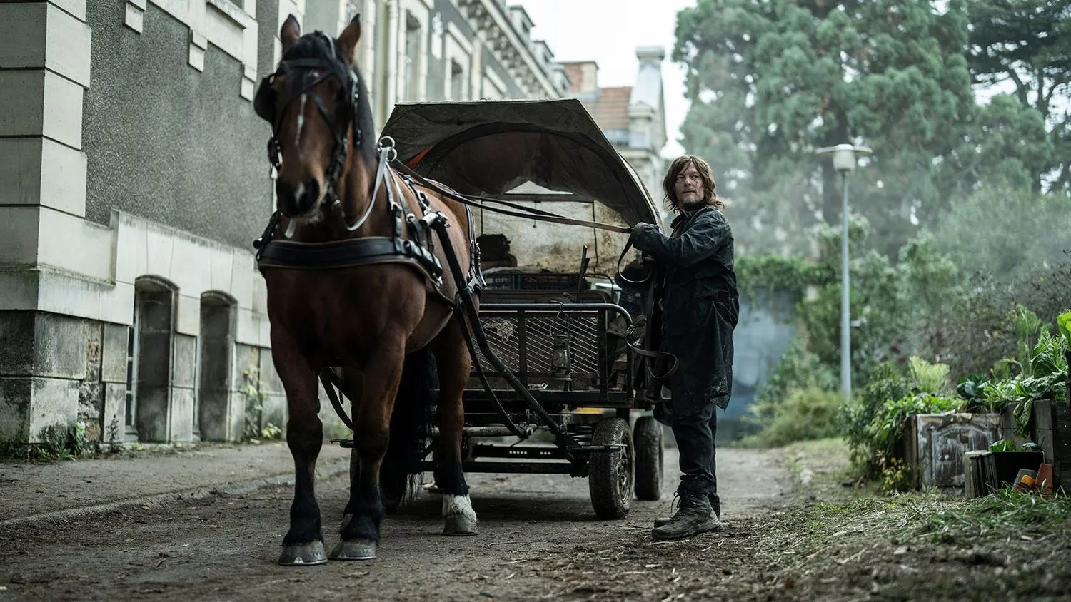 The Walking Dead: Daryl Dixon - Season 3