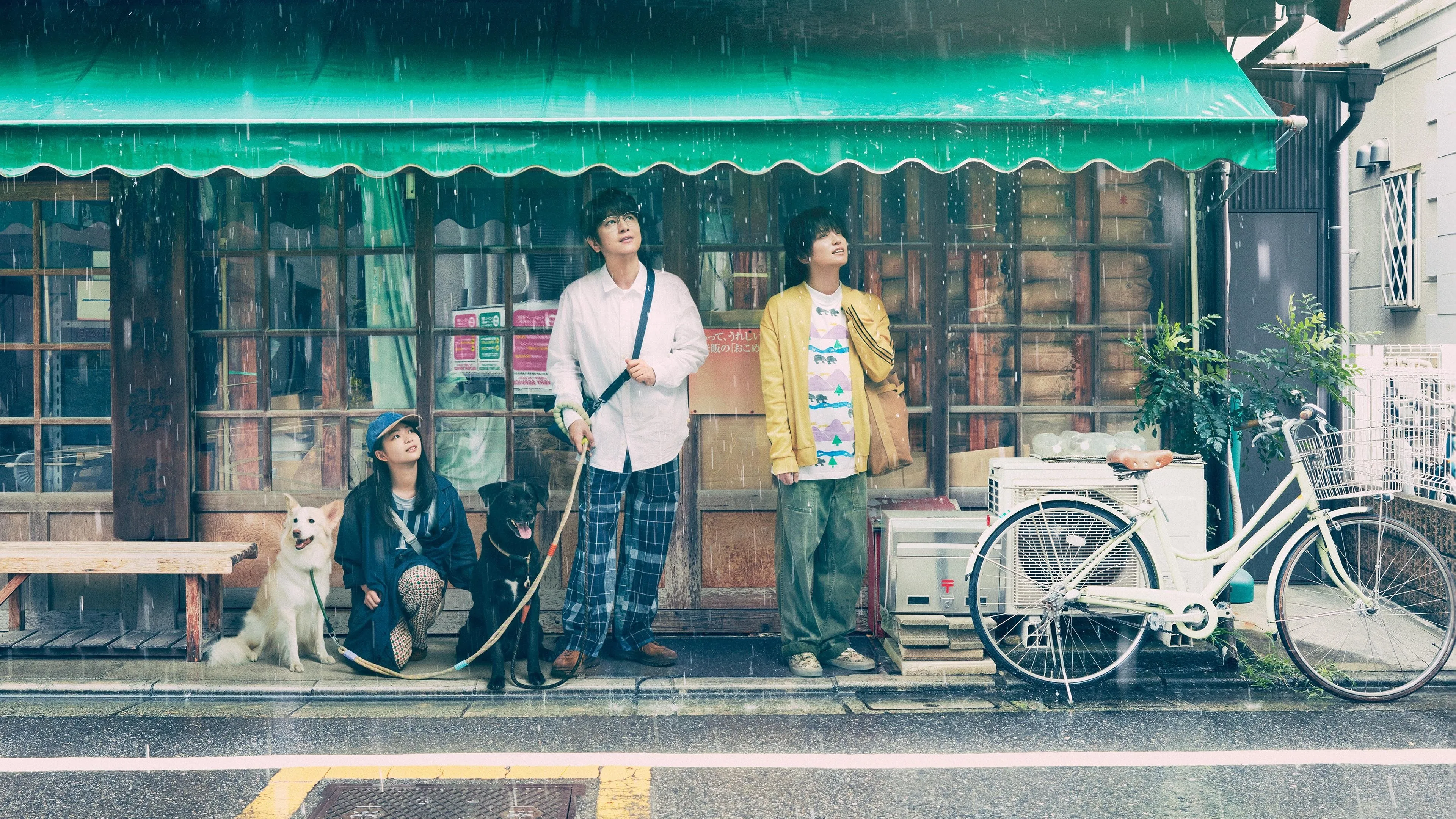 Chosen Home - Season 1