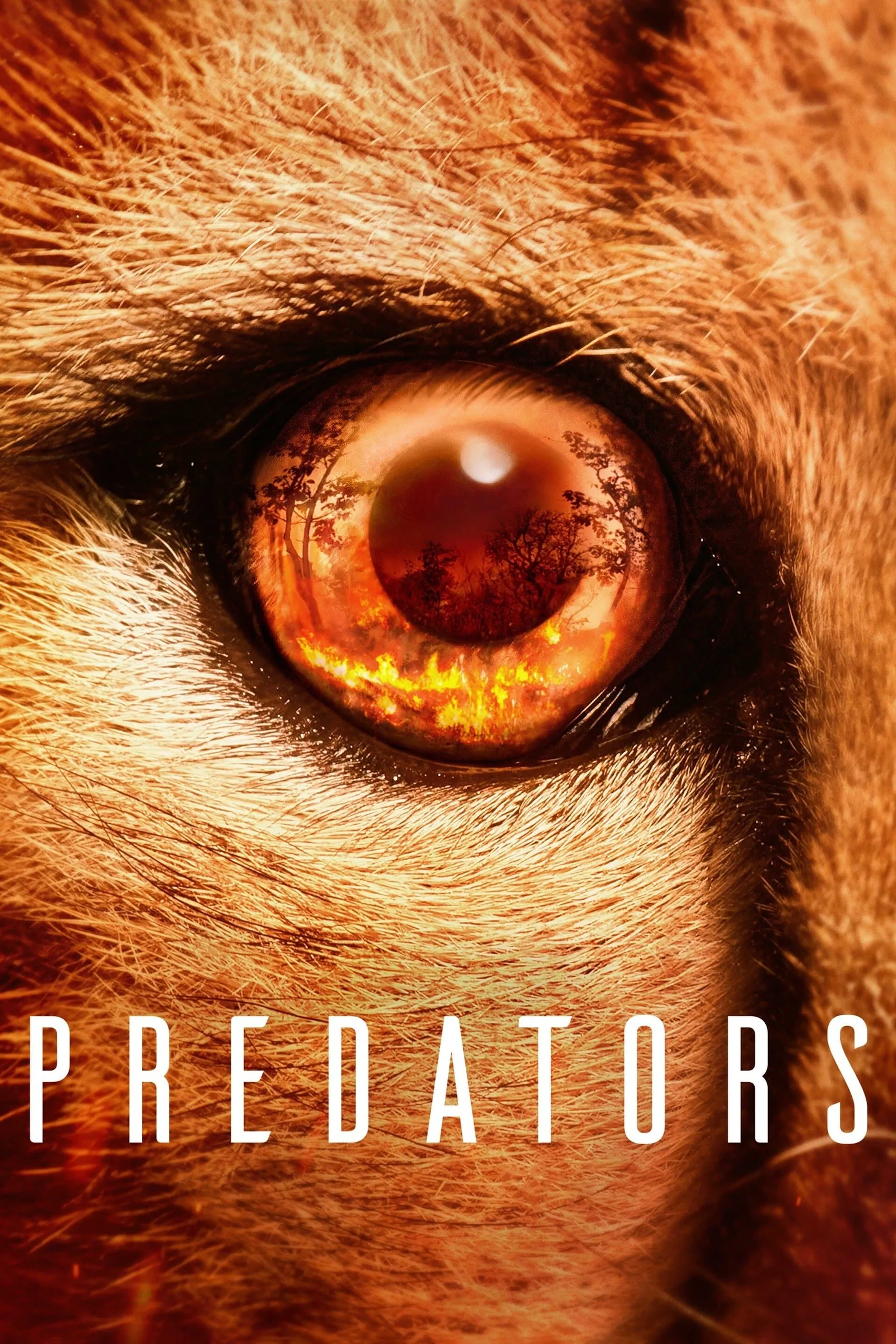 Predators - Season 1